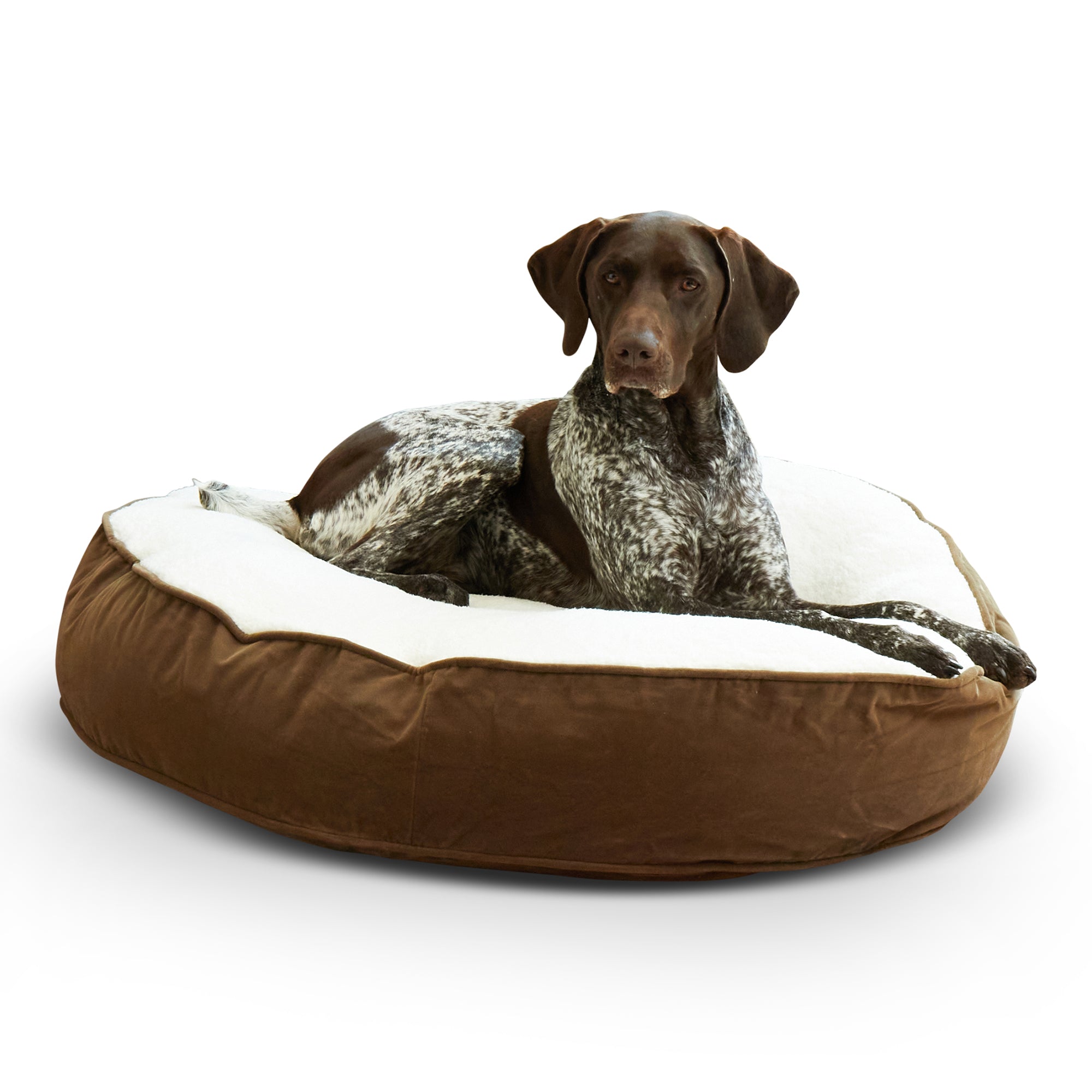 Happy Hounds Scout Sherpa Round Pillow Dog Bed, Latte, Medium (36 x 36 in.)