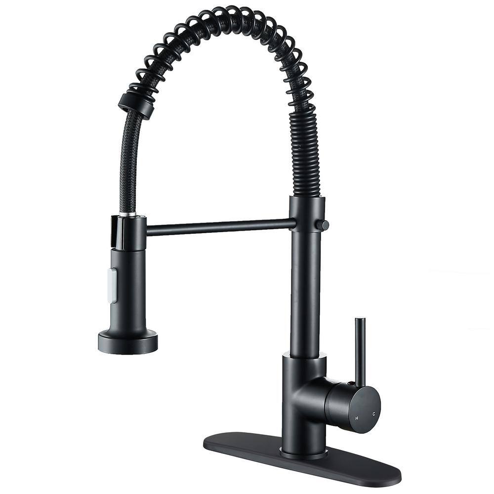 Zalerock Springs Single-Handle Pull-Down Sprayer Kitchen Faucet with Deckplate Included in Matte Black WC05T023