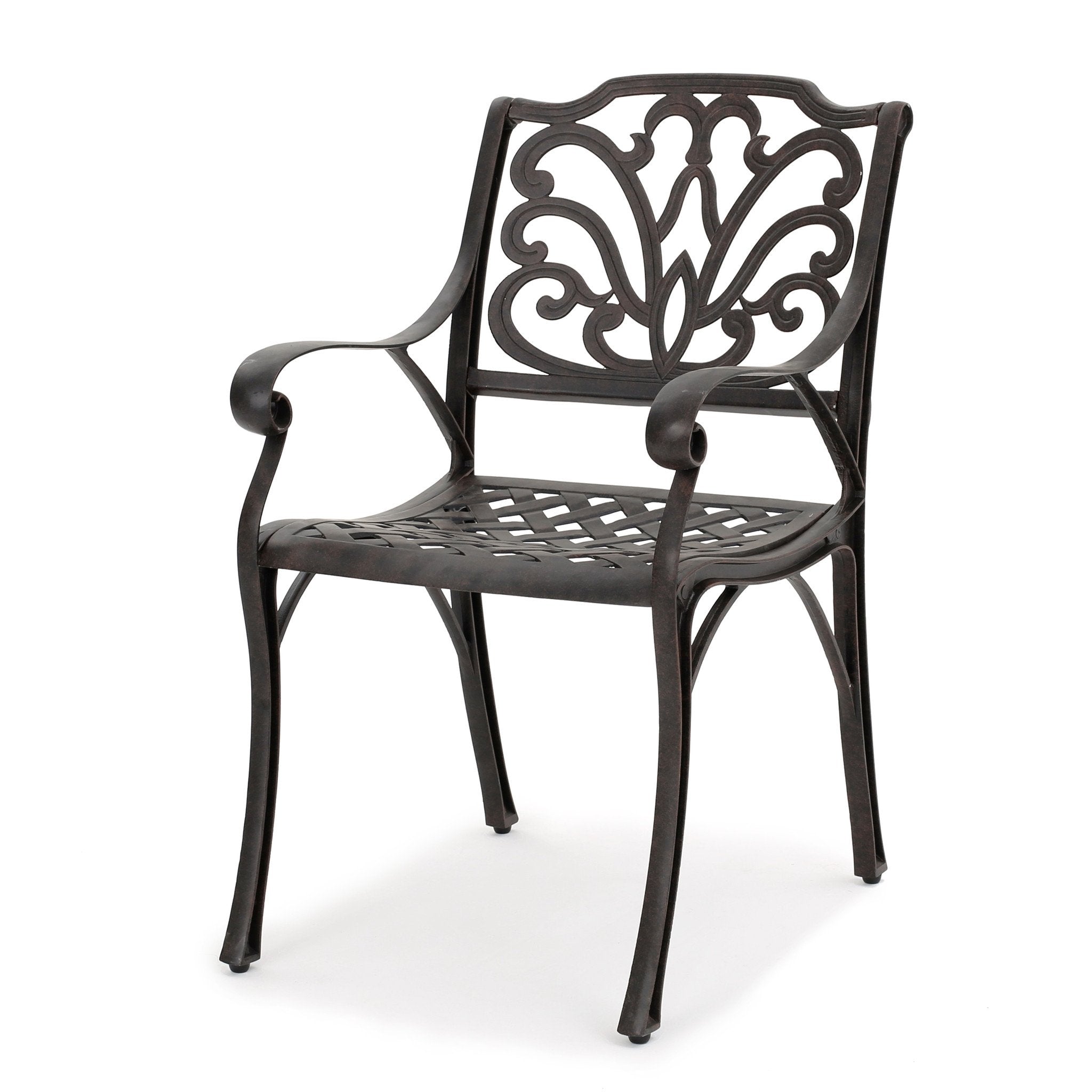 Fonzo Outdoor Bronze Cast Aluminum Dining Chairs (Set of 2)