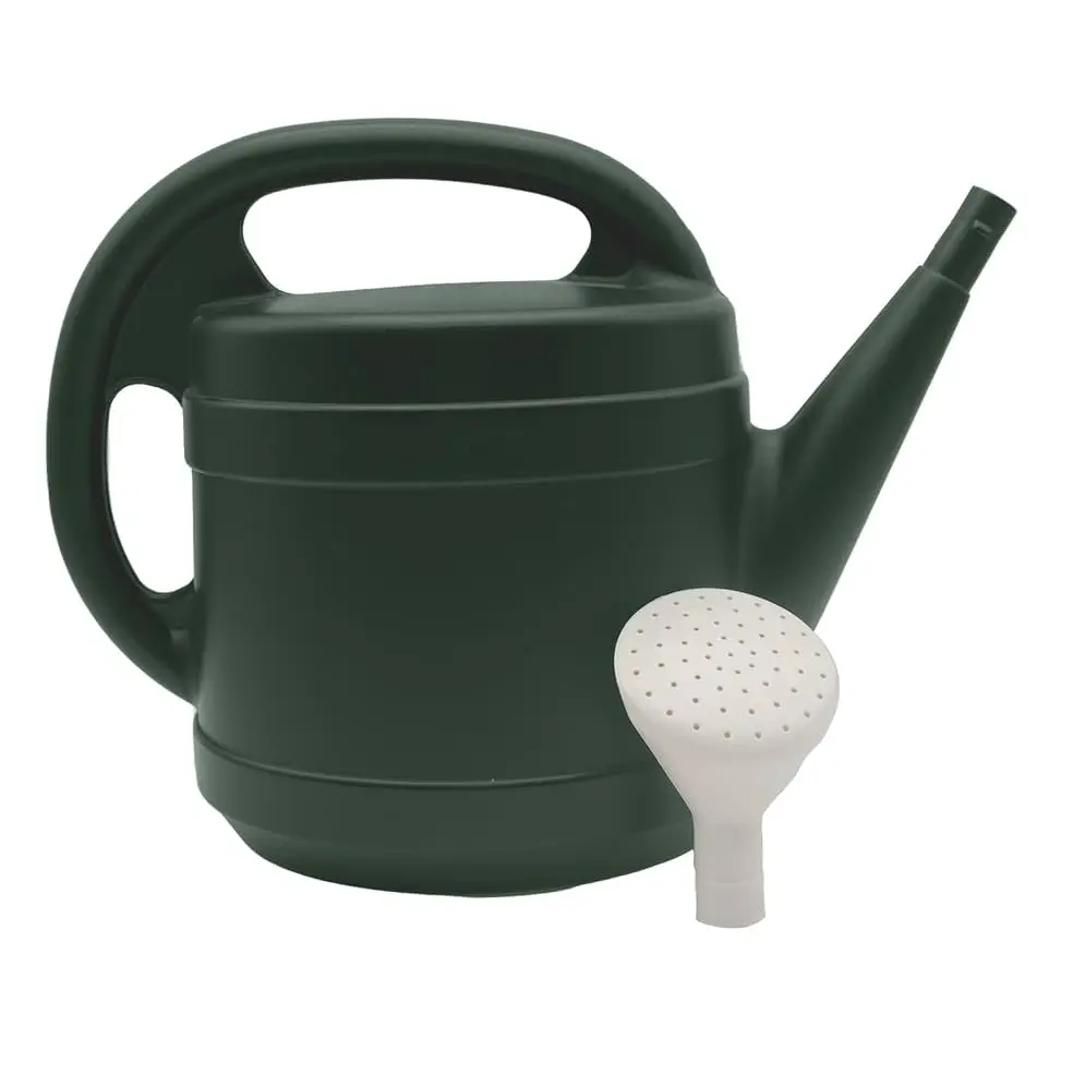 Multiple Color Water Can Best Quality Iron Metal New Design Custom Shape Watering Can For Home Garden Daily Usage