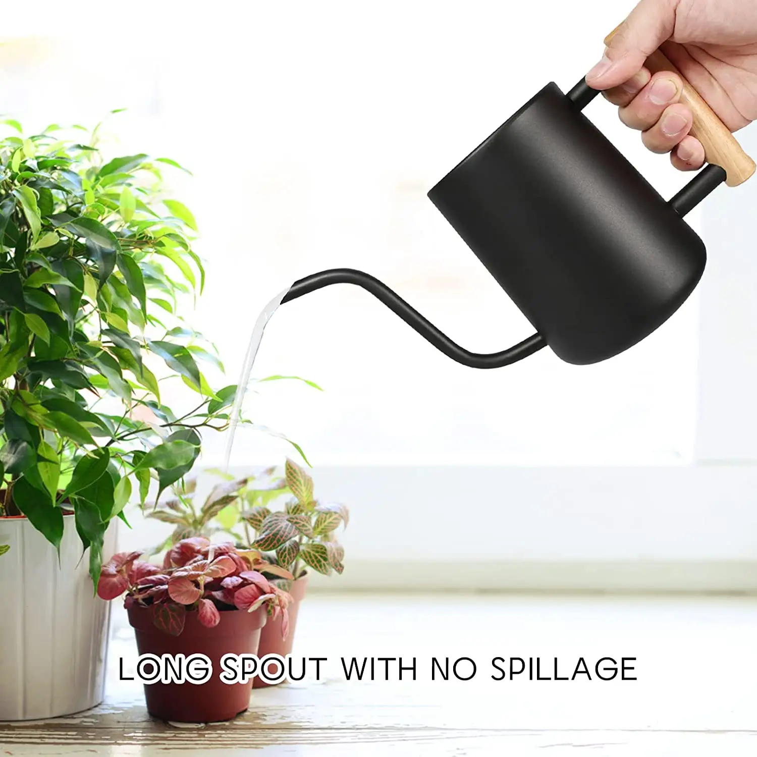 Watering Can Indoor Plants  35 oz/1000 ml Metal Stainless Steel Watering Can Pot with Long Spout for Indoor House Plants