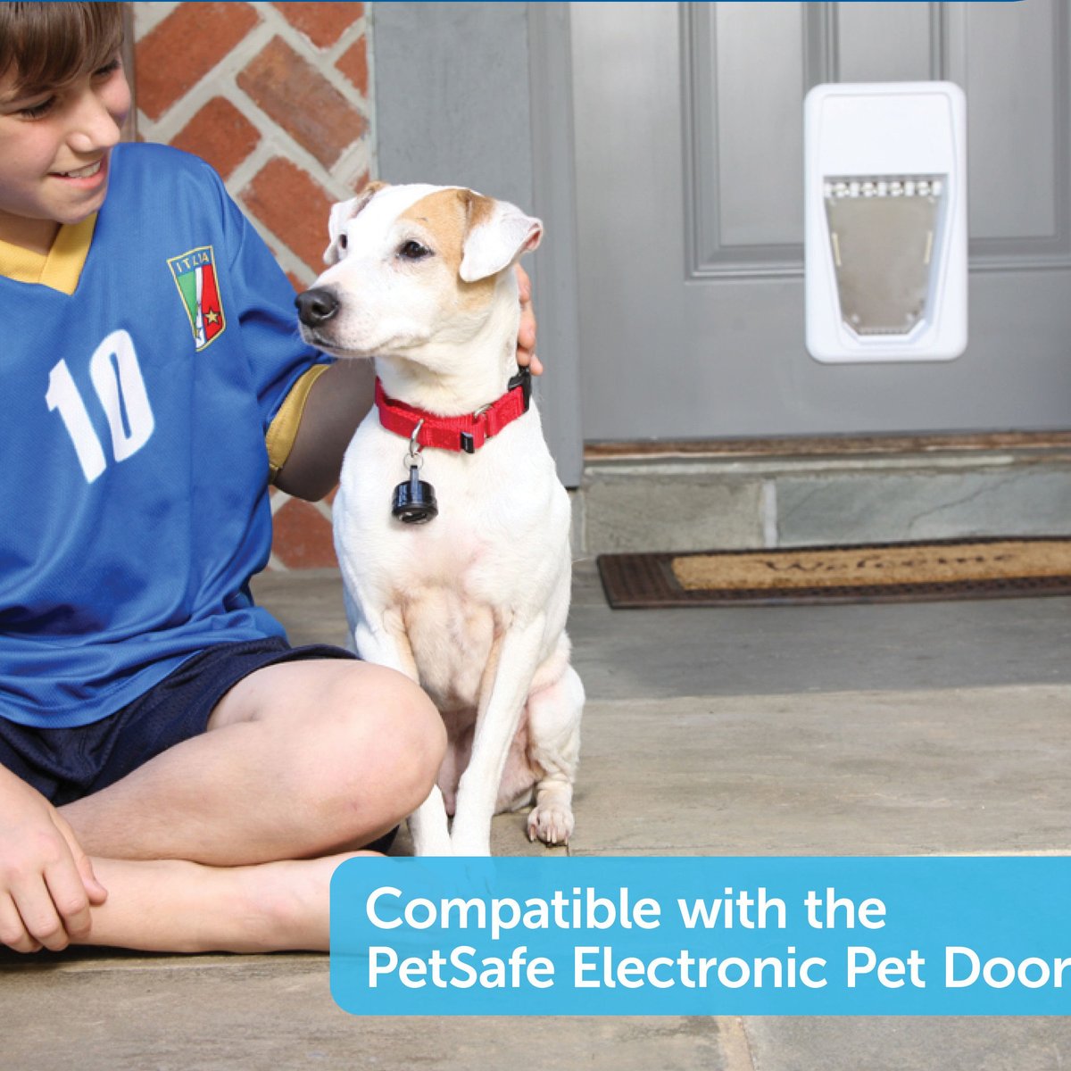 PetSafe Electronic Pet Door Key