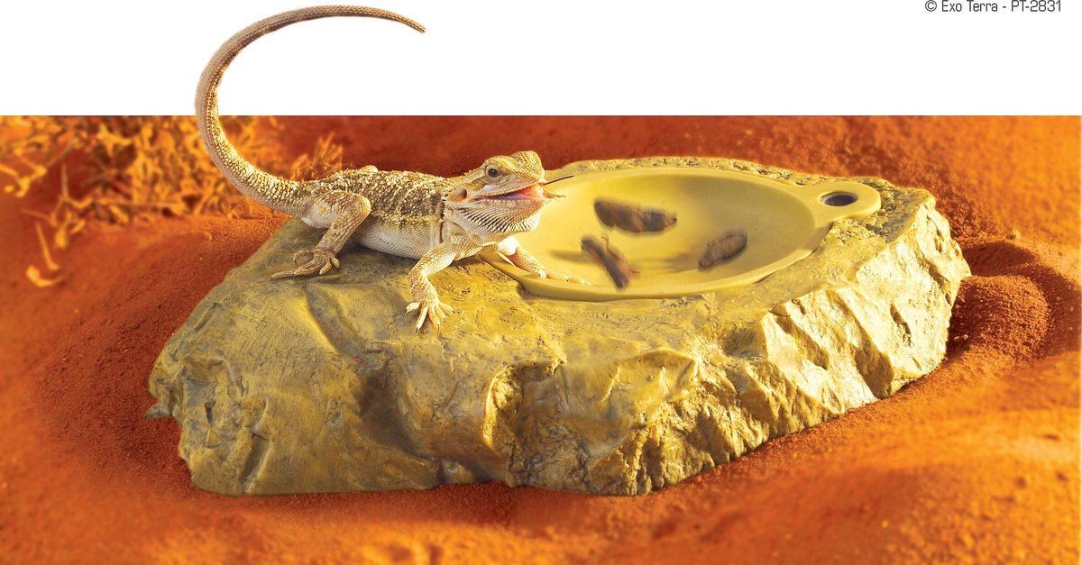 ExoTerra Vivicator Vibrating Reptile Dish