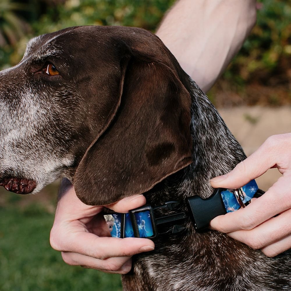 Buckle-Down Disney Frozen Anna and Elsa Poses and Castle and Mountains Polyester Personalized Dog Collar