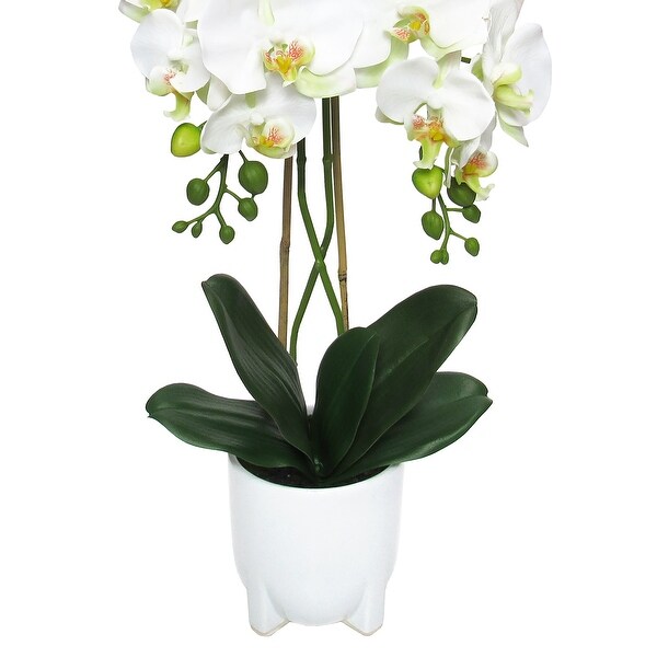 Cream White Artificial Phalaenopsis Orchid Flower Arrangement in White Modern Ceramic Pot 25in