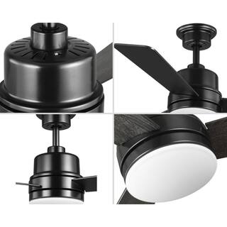 Progress Lighting Trevina II 44 in. Black Ceiling Fan P2555-3130K