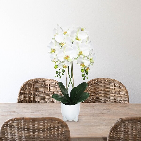 Cream White Artificial Phalaenopsis Orchid Flower Arrangement in White Modern Ceramic Pot 25in