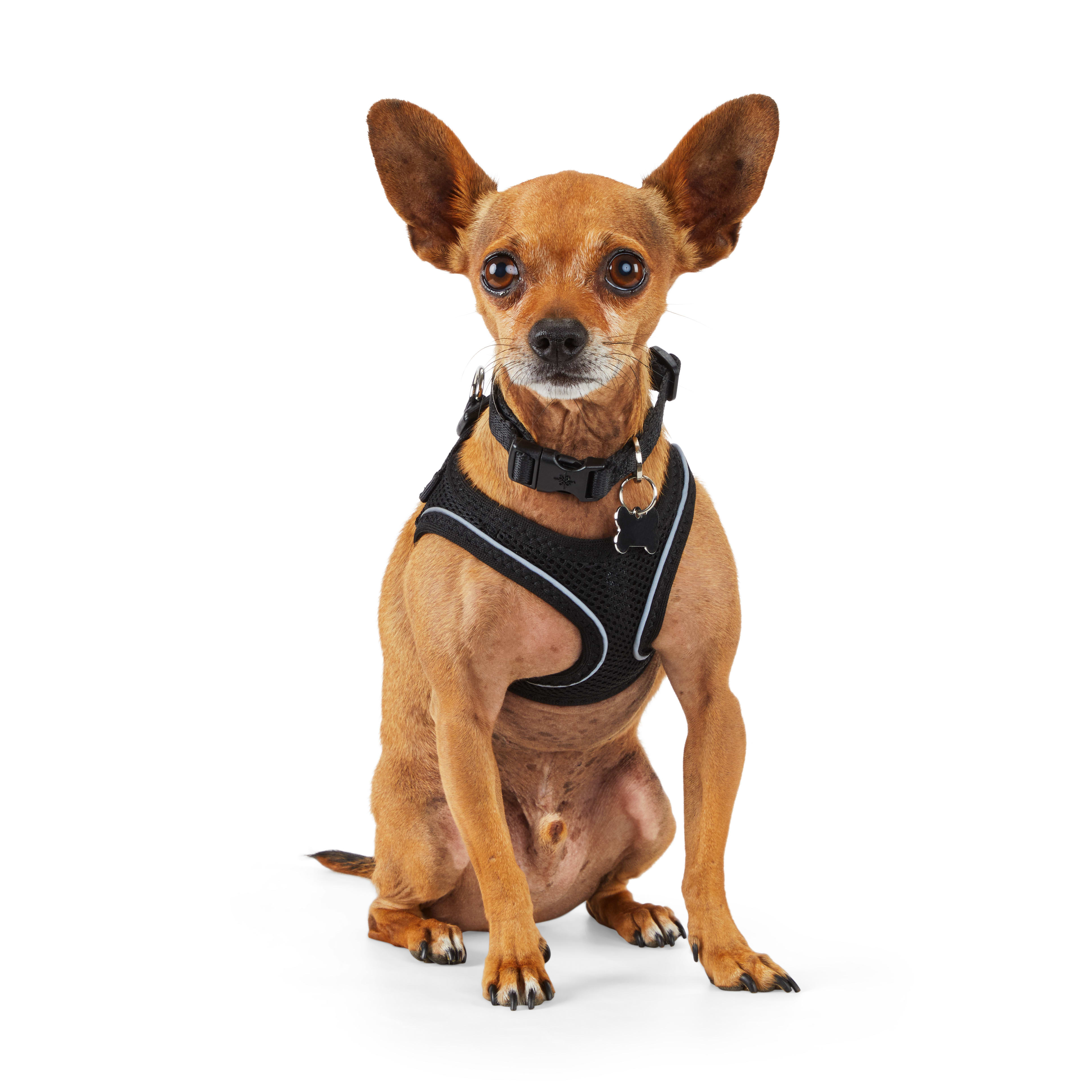 YOULY Black Reflective Mesh Dog Harness， XX-Small/X-Small