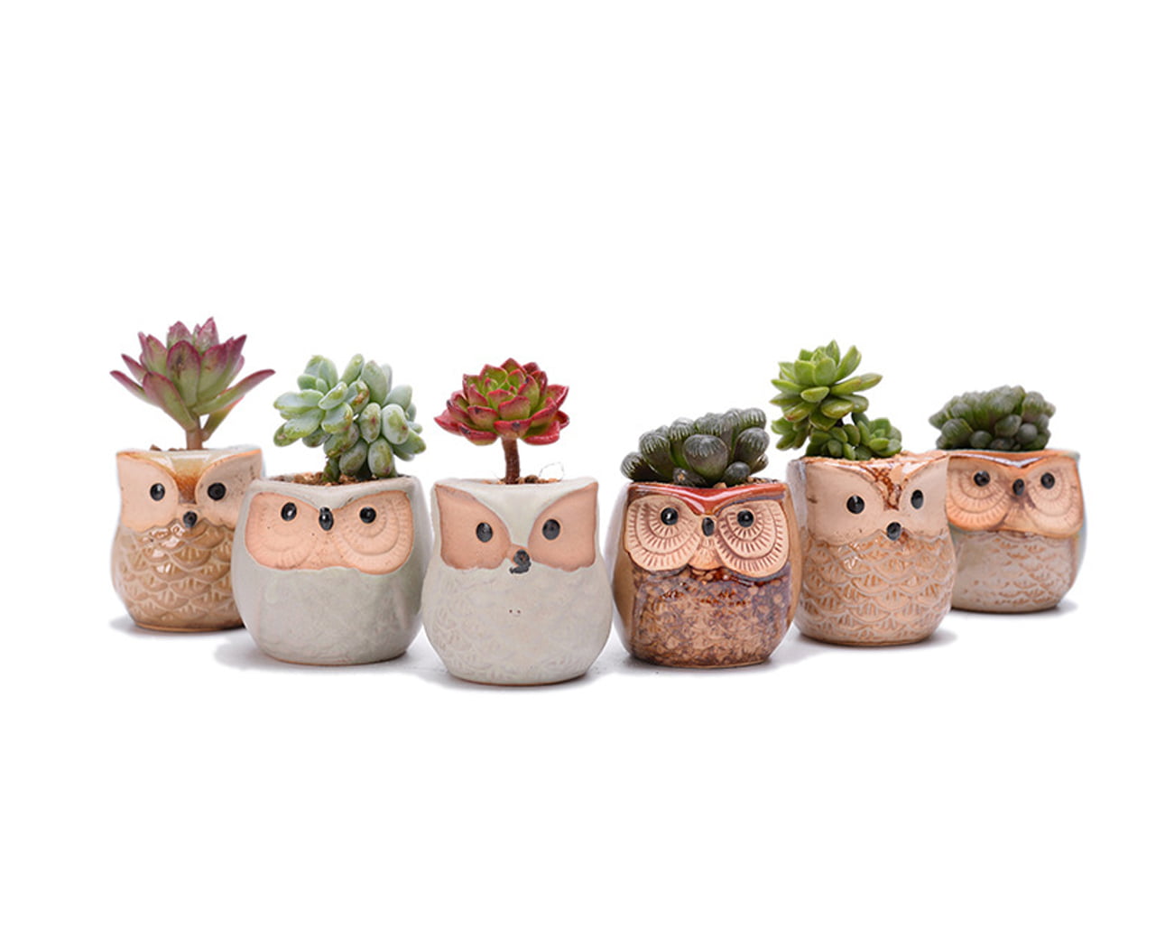 2CFUN 2.5 Inch Owl Ceramic Succulent Plants Pots Pack of 6