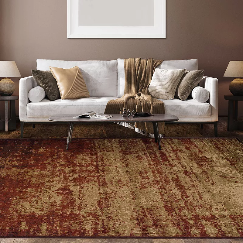 Superior Acid Wash Modern Area Rug