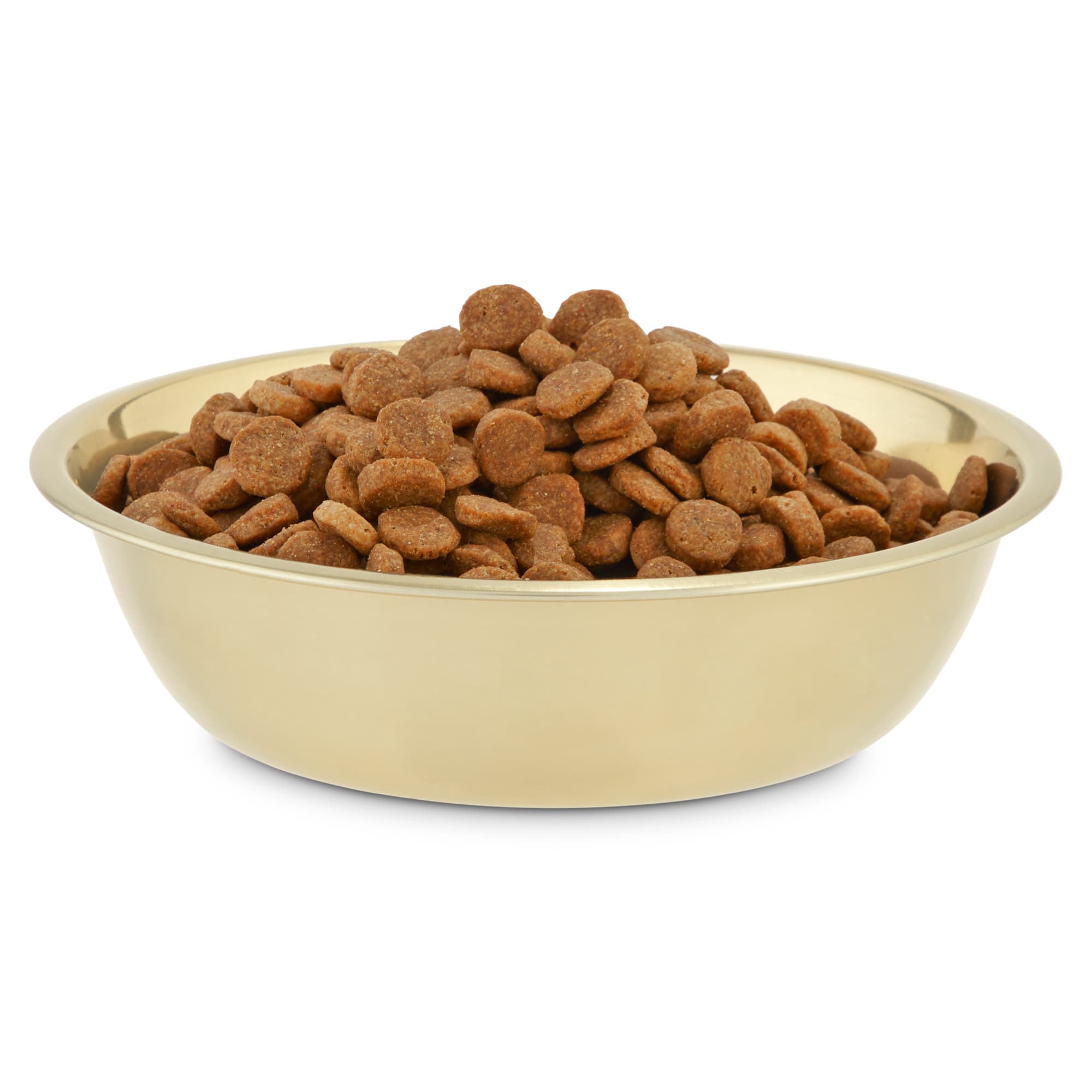 EveryYay Dining In Gold Stainless Steel Dog Bowl， 1.75 Cups