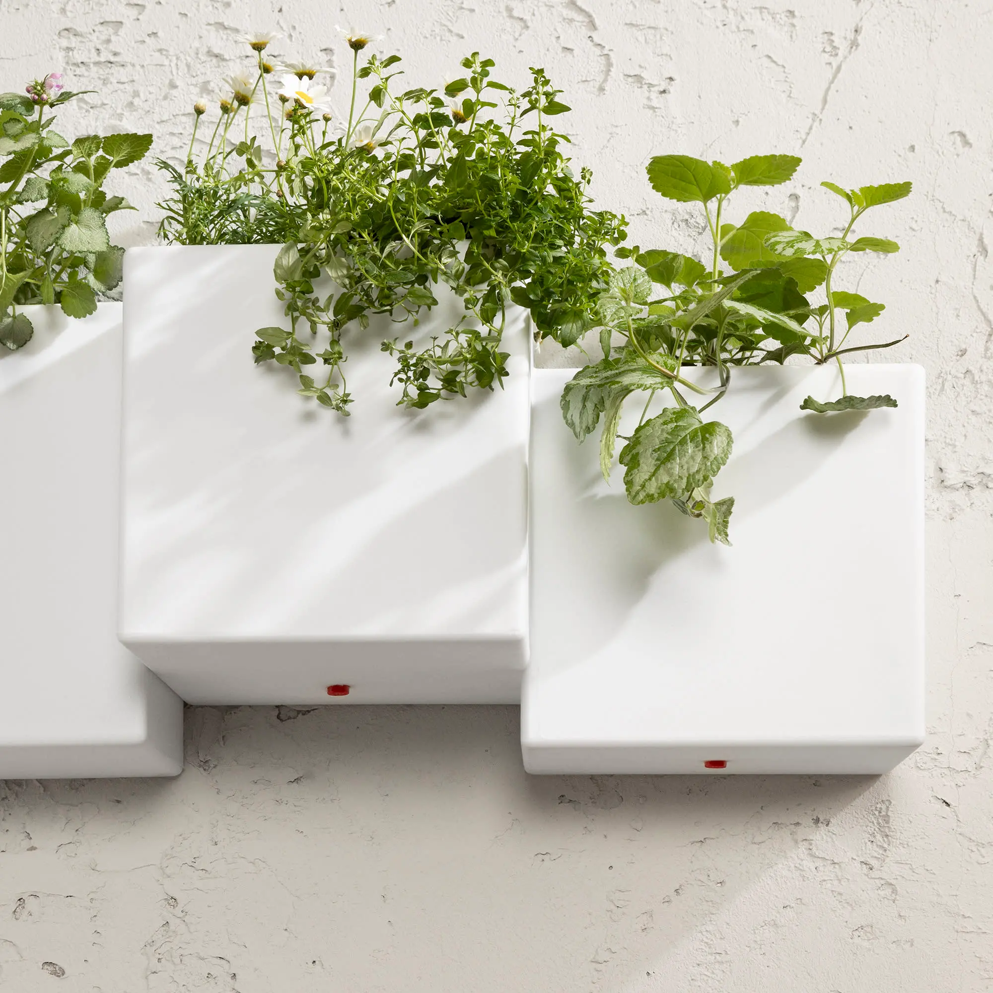 Dalya Set of 2 White Outdoor Wall Planters - South Shore