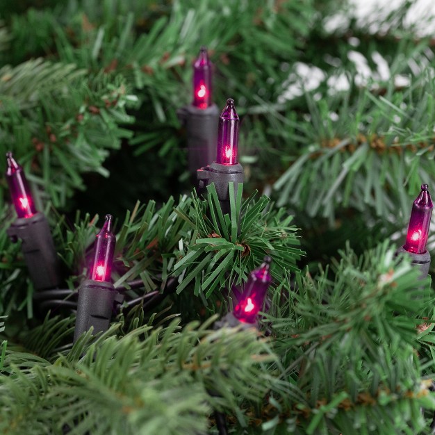 Northlight 100ct Mini Incandescent String Lights Purple 20 25 x27 Black Wire