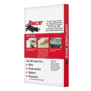 TOMCAT Super Hold Glue Traps Mouse Size for Mice Cockroaches Spiders and Scorpions Ready-To-Use 4 Traps 036271005
