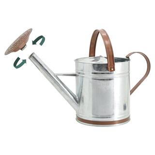 Arcadia Garden Products Classic 1.3 Gal. Chrome Metal Watering Can WC12