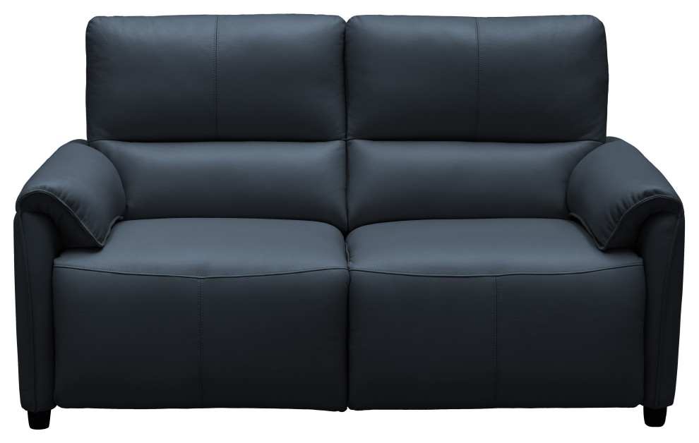 Lily Leather Power Reclining Loveseat With Power Headrests   Contemporary   Loveseats   by Abbyson Living  Houzz