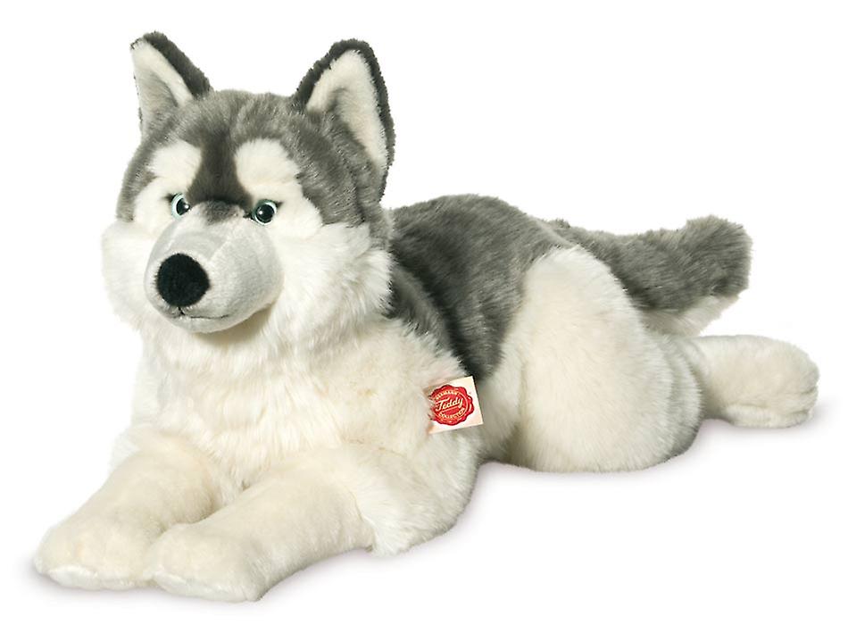 Hermann Teddy Husky dog 60 cm