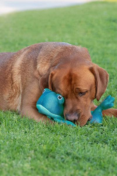 Canada Pooch Chill Seeker Cooling Pals Teal Frog Dog Toy