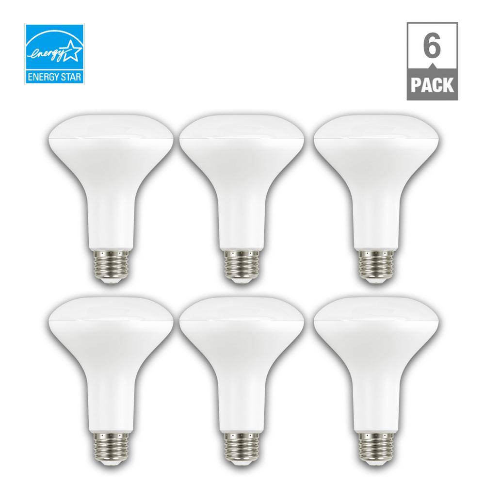 EcoSmart 65-Watt Equivalent BR30 Dimmable ENERGY STAR LED Light Bulb Soft White (6-Pack) A20BR3065WESD26