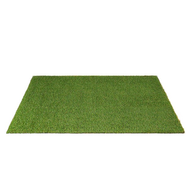 Artificial Grass Synthetic Lawn Indoor Outdoor Turf Area Rug By Blue Nile Mills