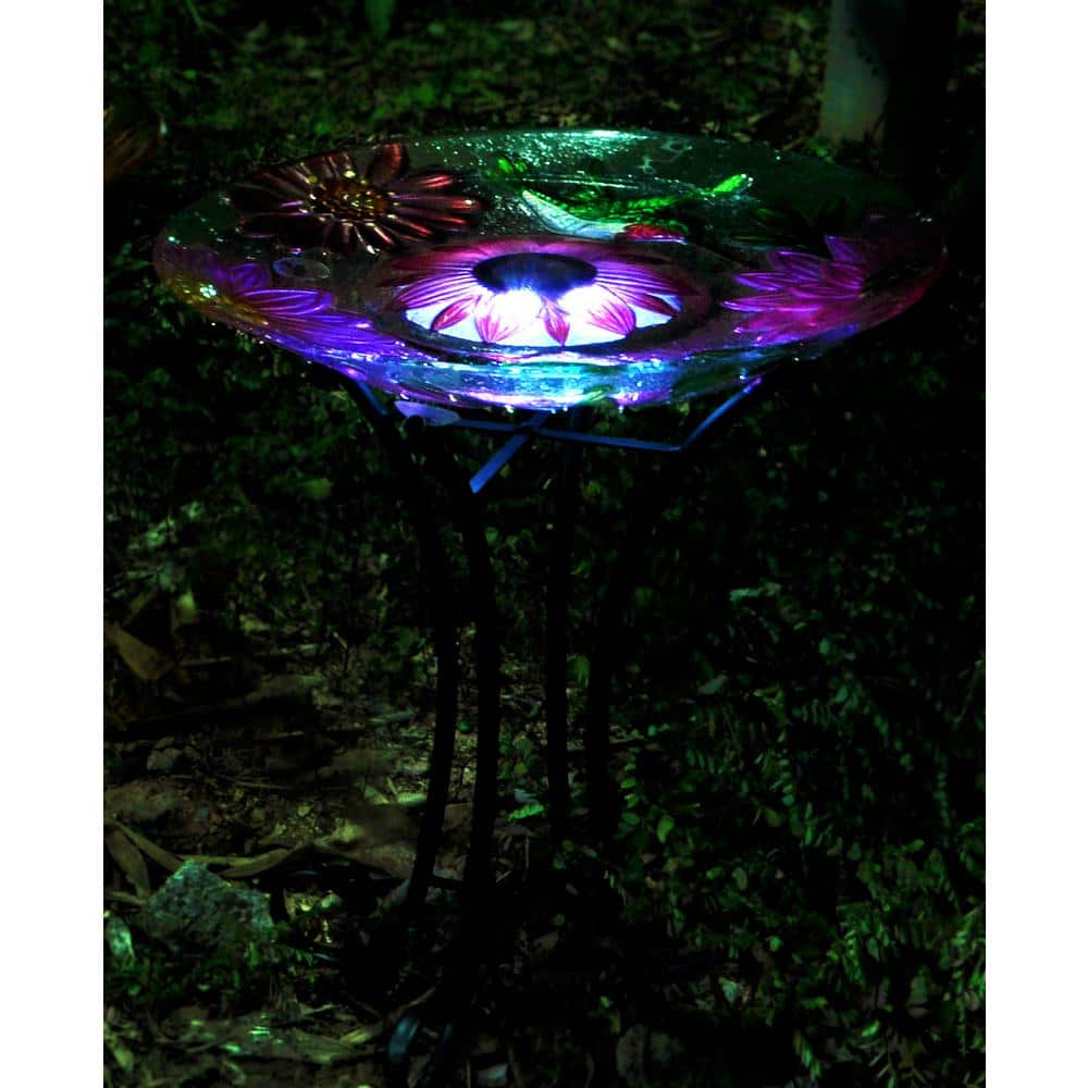 Hi-Line Gift Solar Glass Floral Hummingbird Bird Bath 78415-B