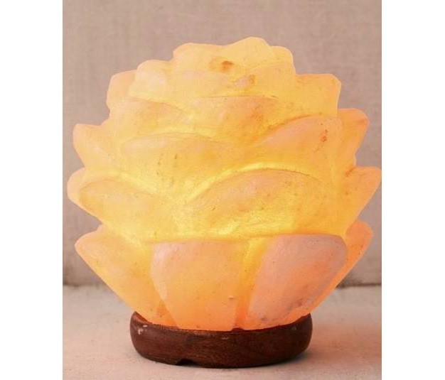 Succulent Himalayan Salt Novelty Table Lamp Q amp a Himalayan Salt