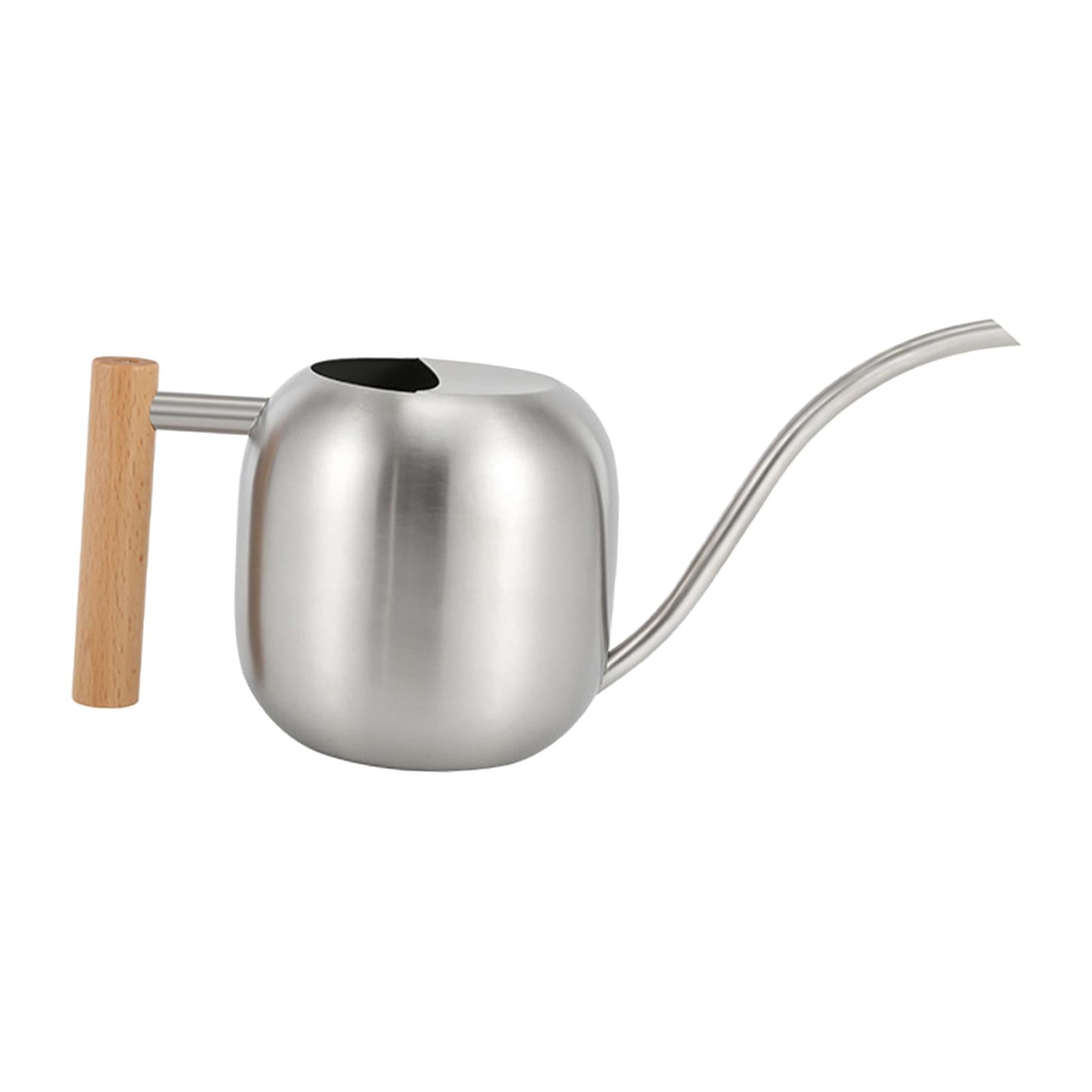 Stainless Steel Indoor Watering Can ,Modern Watering Can Pot, Wooden Handle Long Spout Watering Can for Patio, Flower ,Outdoor Decorative