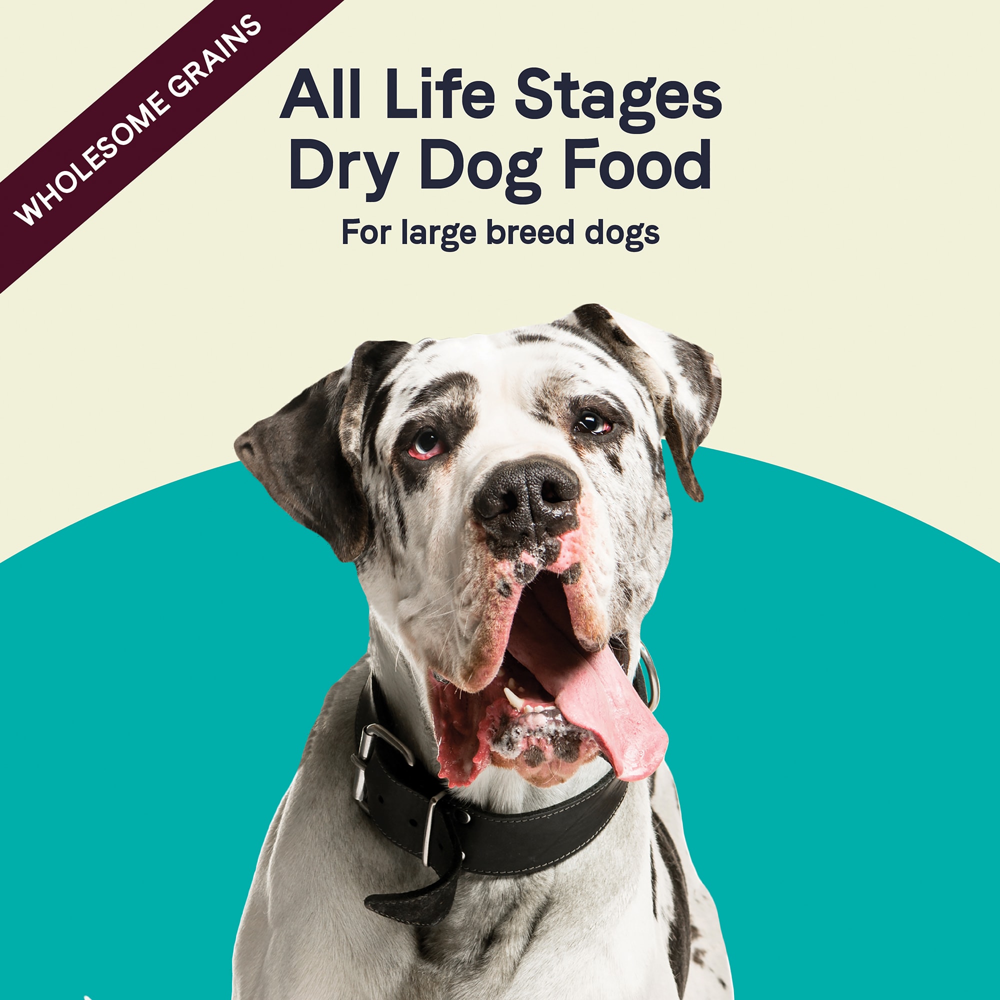 Canidae All Life Stages Large Breed Turkey Meal  Brown Rice Formula Dry Dog Food， 44 lbs.