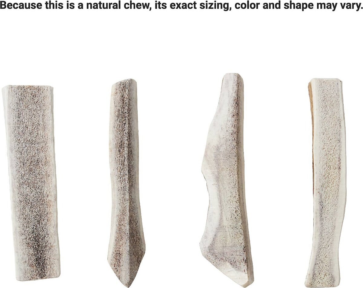 Bones and Chews Made in USA Elk Antler Split Dog Chew， 8.0 - 9.5-in， Large