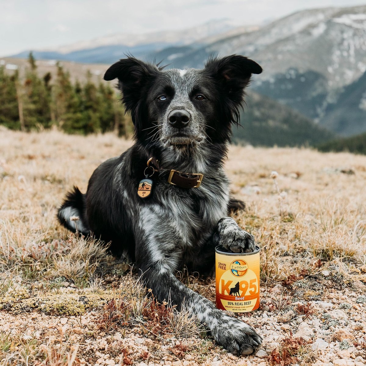 Earthborn Holistic K95 Beef Recipe Grain-Free Canned Dog Food