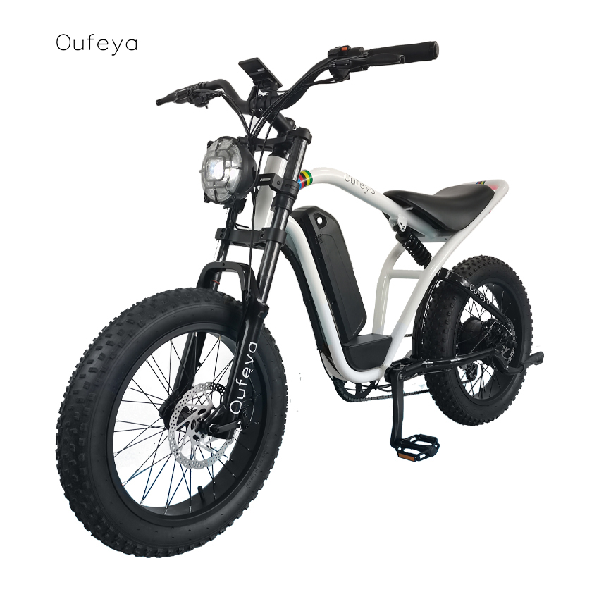 48V 12.5AH 20 inch aluminium alloy High Quality full suspension multifunctional fat tire retro motor electric city bike