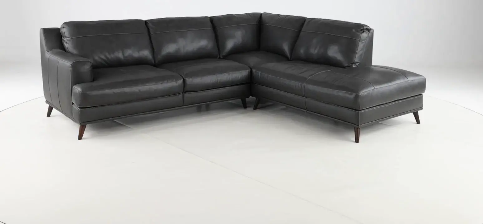 Caruso Gray 2 Piece Leather Sectional