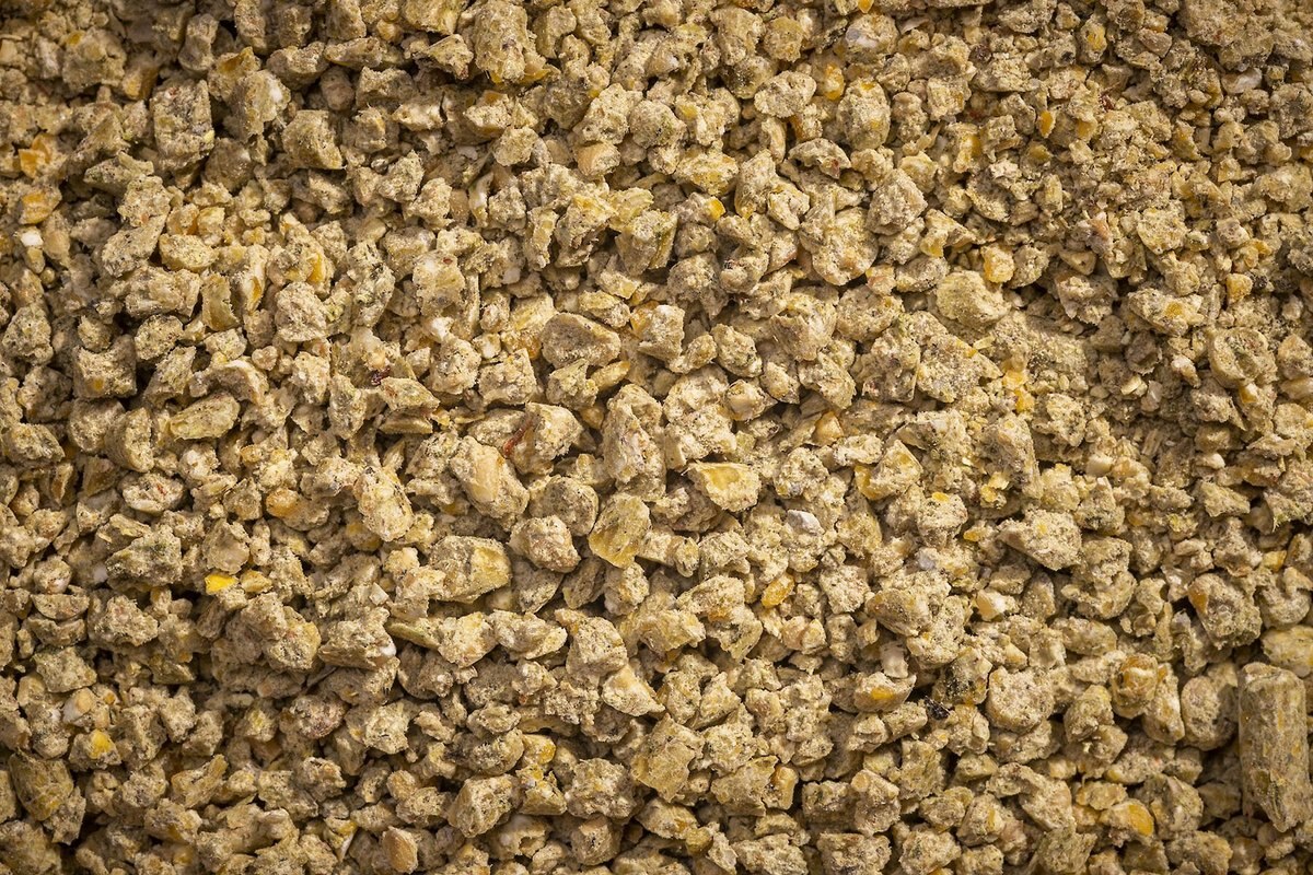 Modesto Milling Organic Layer Crumbles Poultry Feed