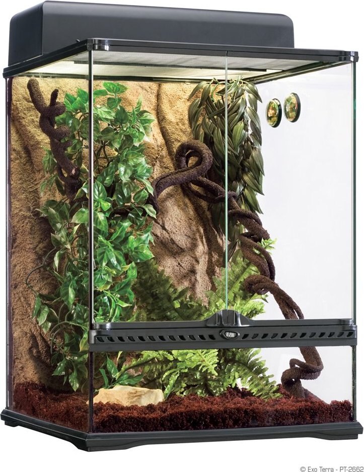 Exo Terra Rainforest Reptile Habitat Kit