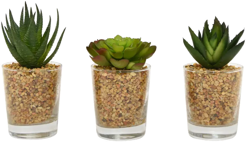 Assorted Faux Succulent Arrangement in Glass Container