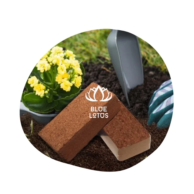 Hot Deal Best Price Peat Moss Coconut Coir Pellets Seedling Soil Block 5kg Coco Peat Garden Plants From Blue Lotus Viet Nam