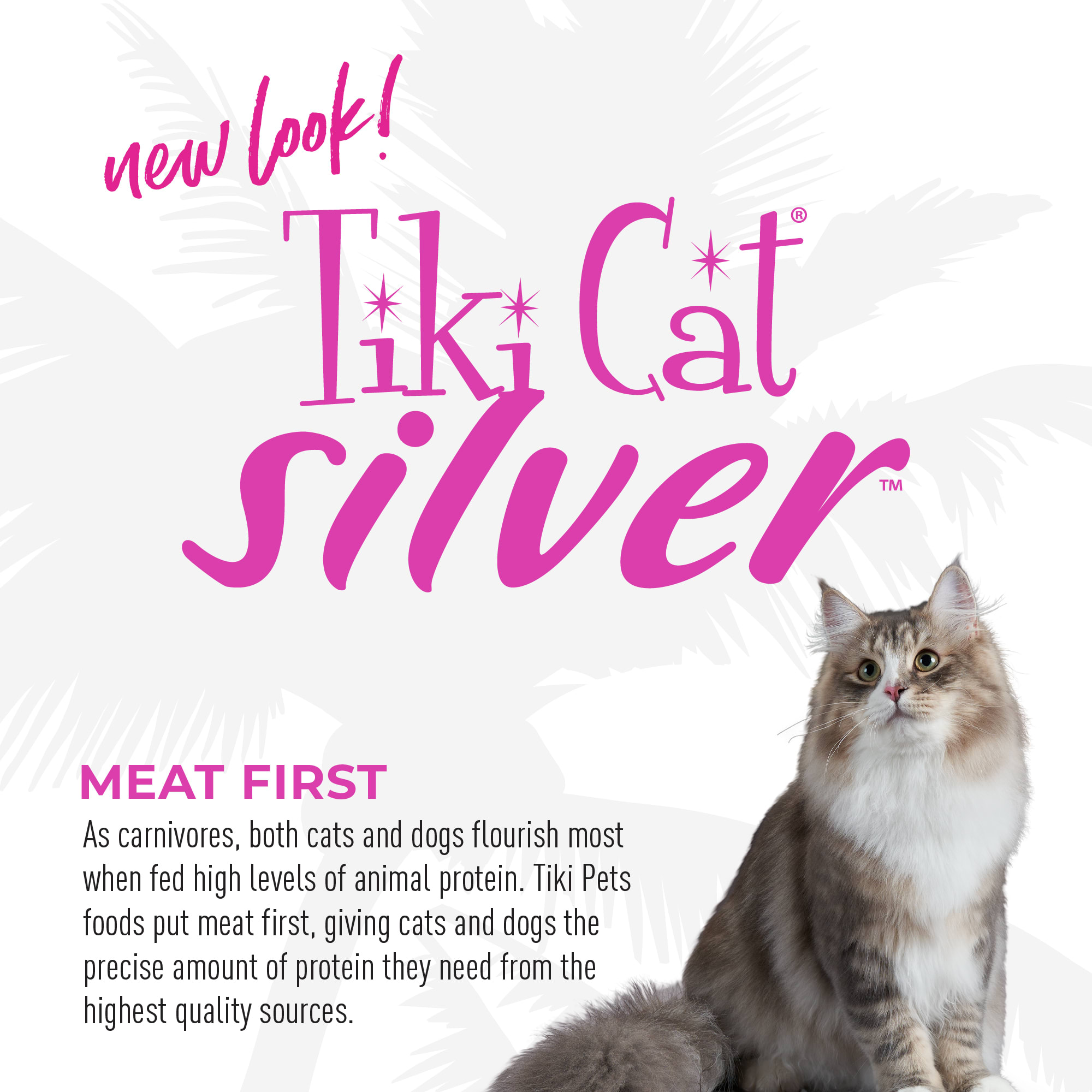 Tiki Cat Velvet Mousse Senior Salmon Wet Food， 2.8 oz.， Case of 12