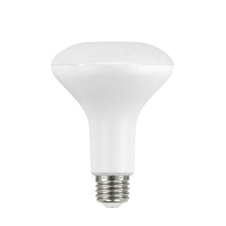 PRIVATE BRAND UNBRANDED 65-Watt Equivalent BR30 Dimmable Flood LED Light Bulb Soft White (12-Pack) A20BR3065WULD12