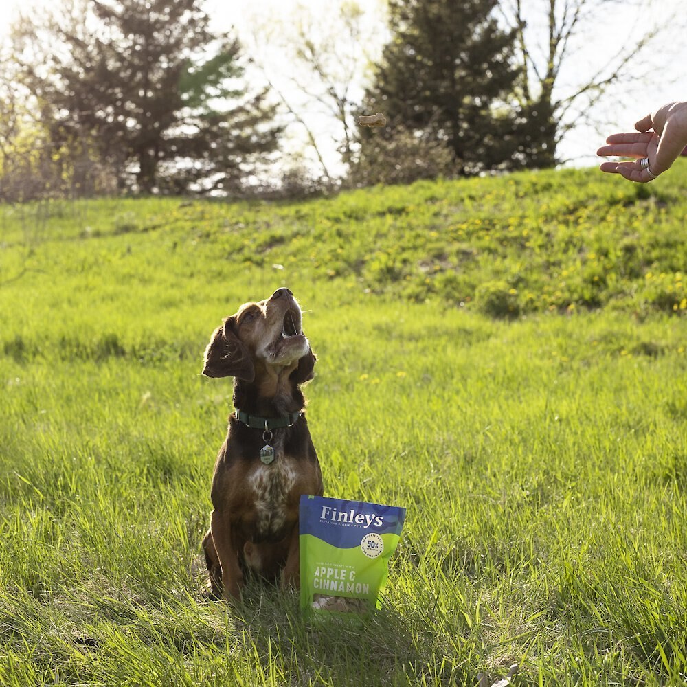 Finley's Barkery Wheat-Free Apple and Cinnamon Crunchy Biscuit Dog Treats