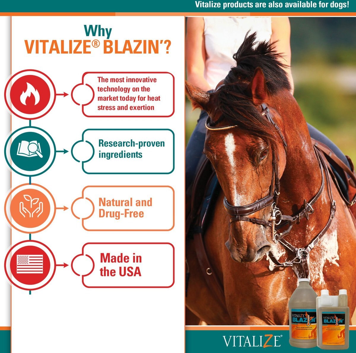 Vitalize Blazin' Liquid Horse Supplement