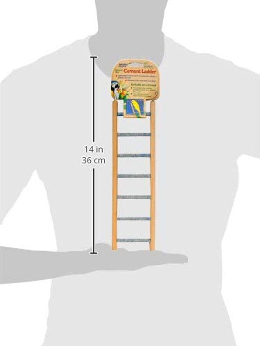 Bird Life Small Bird Ladder， Assorted Colors