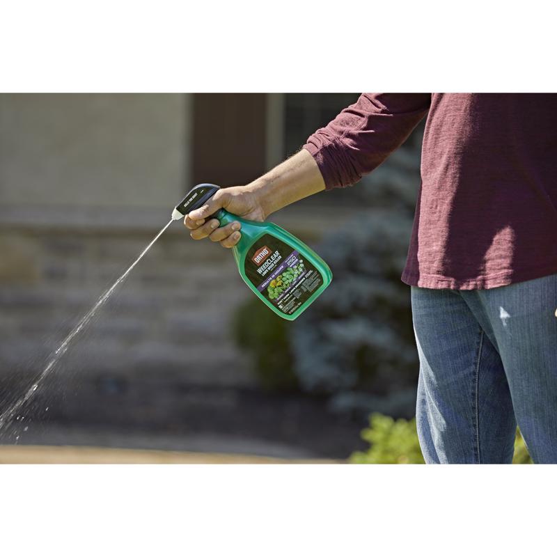 LAWN WEED KLR S SPRY24OZ