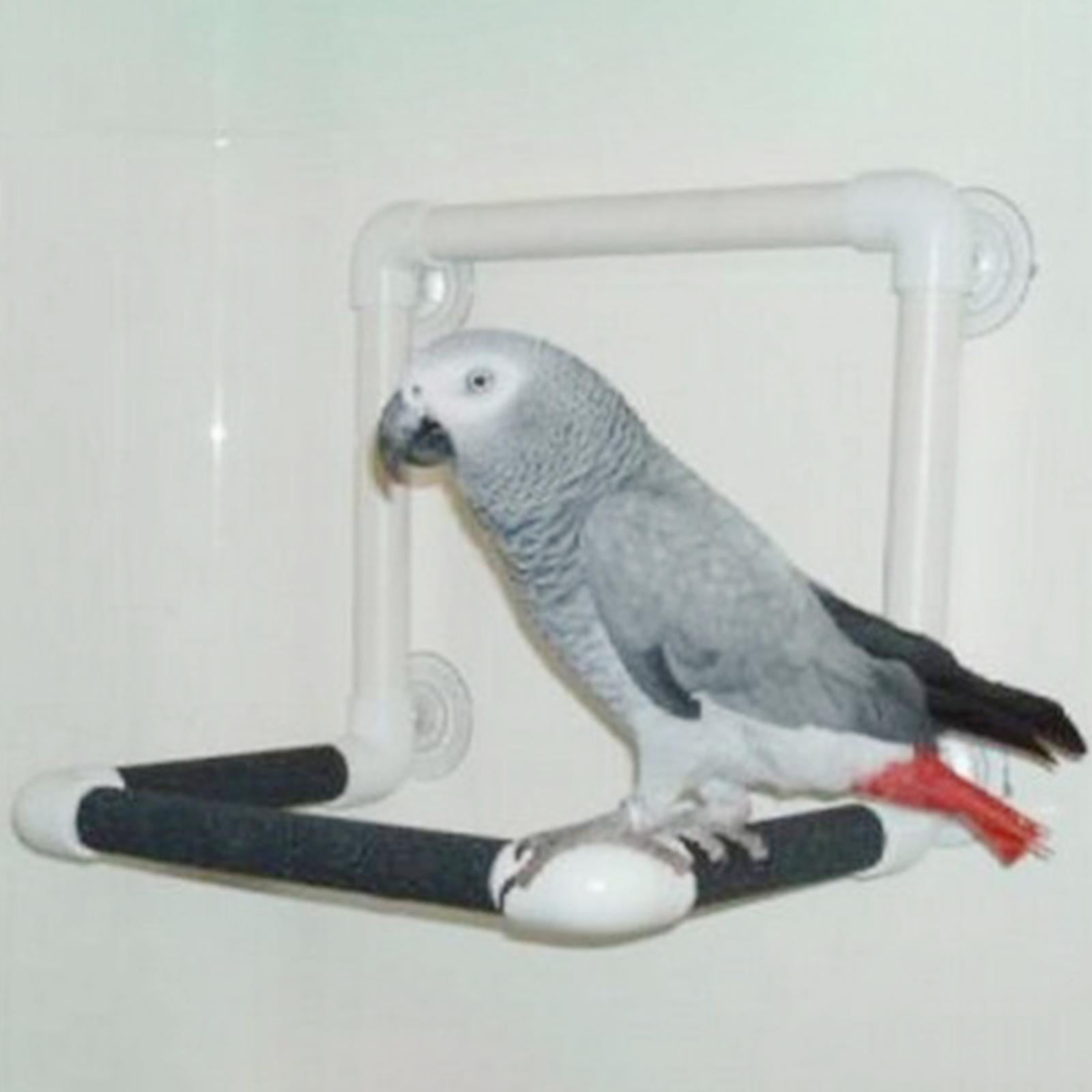 Plastic Bird Parrot Shower Perch Parrot 4 Suction Cups Bath Platform for Cockatoo