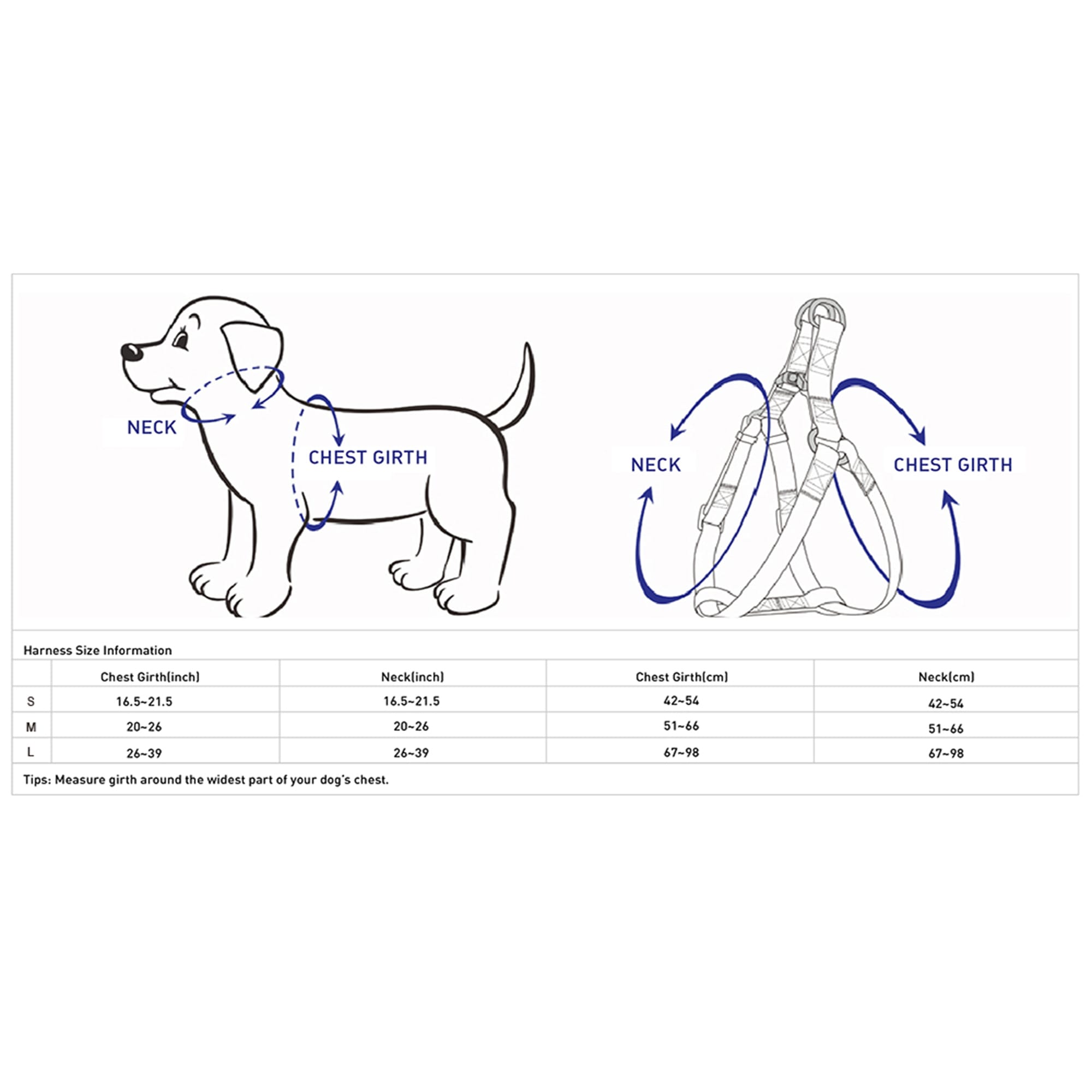 Blueberry Pet Essentials Bahamas Vacation Dog Harness， Small