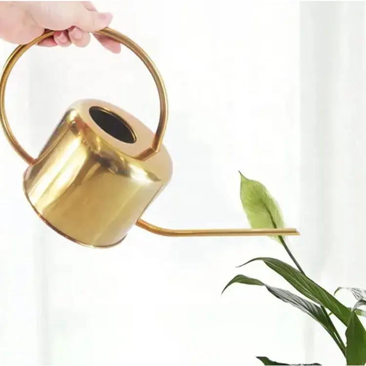 Indoor Garden Home Decor Gold Stainless Steel Watering Can Easy Pour Long Spout Watering Pot for Indoor Plant Watering