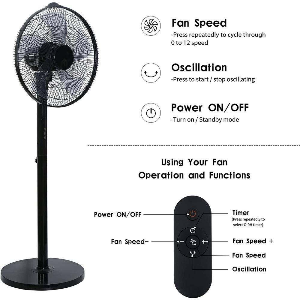 Edendirect 14.5 in. Adjustable 12 Levels Speed Pedestal Stand Fan with Remote Control 90 Horizontal Oscillating 9-Hours Timer DHS0RA0713003