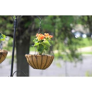 Ashman Online 12 in. Dia. Growers Ashman Hanging Basket Black Metal with Coco Lining PlantBasketRoundWire2Pk