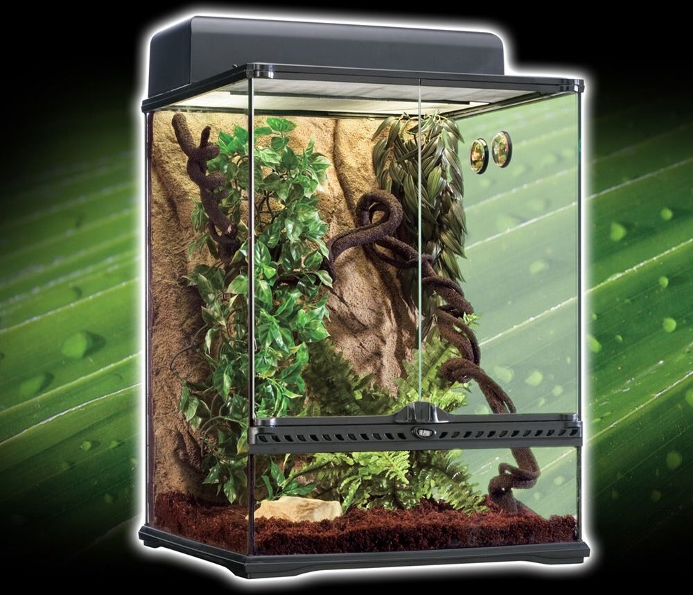 Exo Terra Rainforest Reptile Habitat Kit