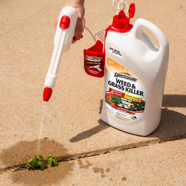 Weed And Grass Accushot 1 Gallon Ready To Use Spectracide