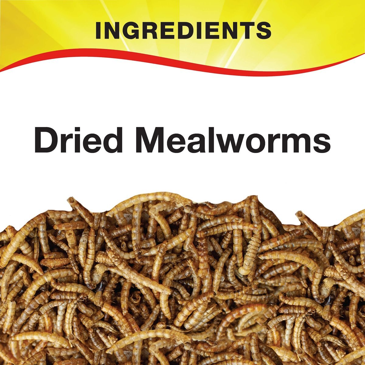 Wild Delight Mealworms Wild Bird Food， 16-oz bag